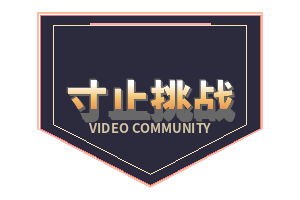 寸止挑战